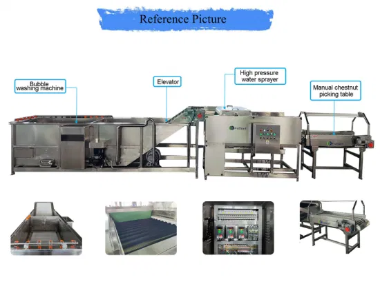 Fabricantes de lavadoras de vegetales Equipos de procesamiento de vegetales Sistema de recolección de limpieza de papas